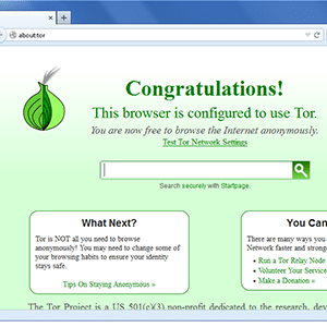 Theonionrouter Tor Vs. Vpn: Which One Is The Better Privacy And Anonymity Resource?