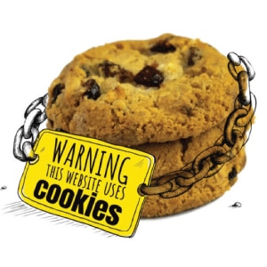 No Tracking By Cookies Is Incognito Mode Really Private? What You Need To Know