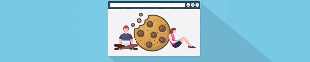 Cookies Tips On How To Browse Privately