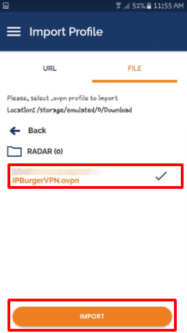 Add IPBurger connection OpenVPN