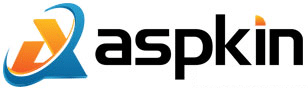 Aspkin Speed Test